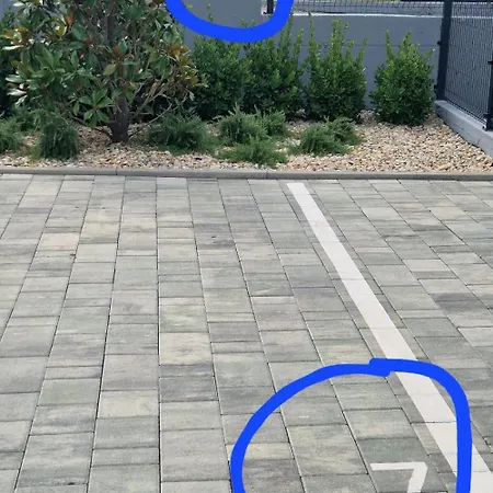 Garden Retreat - Free Parking & Cozy Yard